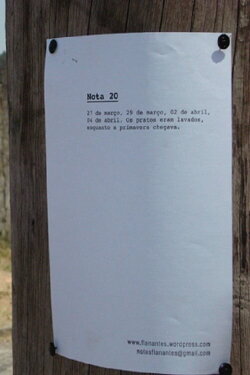 Wandering Notes (2009)