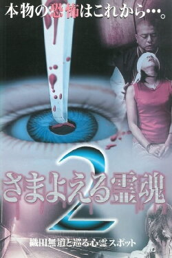 Wandering Souls 2: Exploring Haunted Spots with Oda Nobunaga (1999) Wandering Souls 2: Exploring Haunted Spots with Oda Nobunaga (1999)