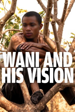 Wani and His Vision (2013)