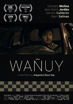 Wañuy (2017)