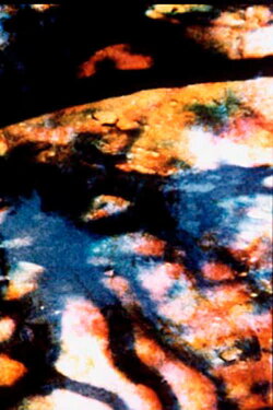 Warrah (1980)
