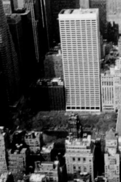 Waste no. 4 New York, New York (2020) Waste no. 4 New York, New York (2020)