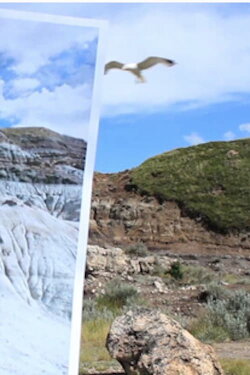 Water Once Ruled (2018) Water Once Ruled (2018)
