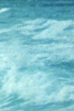 Wave (1984)