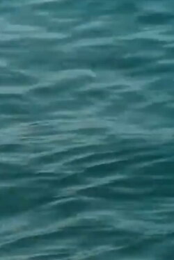 Waveforms (2003) Waveforms (2003)