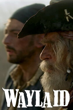 Waylaid (2021) Waylaid (2021)