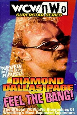 WCW/NWO Superstar Series: Diamond Dallas Page - Feel the Bang! (1999) WCW/NWO Superstar Series: Diamond Dallas Page - Feel the Bang! (1999)