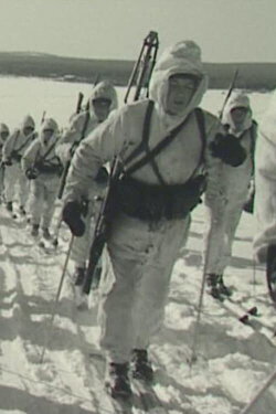 We 46,000 (1945)