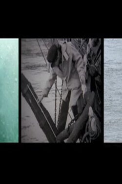 We Account the Whale Immortal (2016) We Account the Whale Immortal (2016)