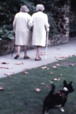 We Are All Alone My Dear (1977) We Are All Alone My Dear (1977)
