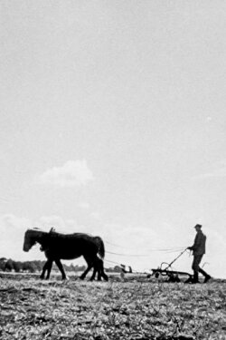 We Are Building New Villages (1946) We Are Building New Villages (1946)