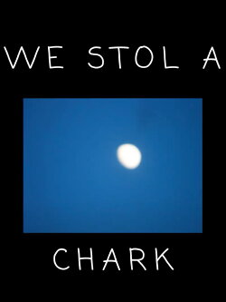 we stol a chark (2019)