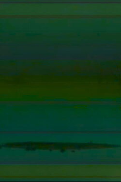 weak signal (2024)