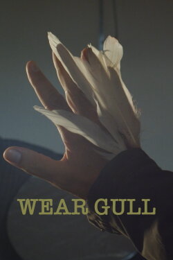 Wear Gull (2023) Wear Gull (2023)