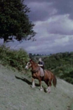 West of England (1951) West of England (1951)