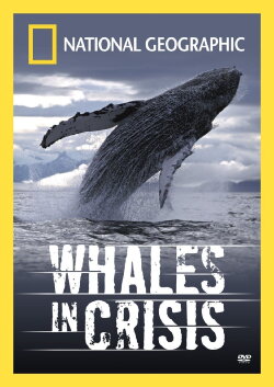 Whales in Crisis (2004) Whales in Crisis (2004)