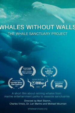 Whales Without Walls (2020) Whales Without Walls (2020)