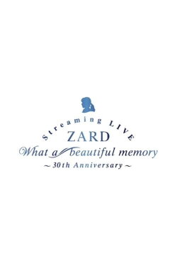 What a beautiful memory ~30th anniversary (2021) What a beautiful memory ~30th anniversary (2021)