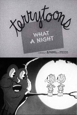 What a Night (1935) What a Night (1935)