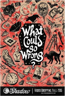 What Could Go Wrong? (2016) What Could Go Wrong? (2016)