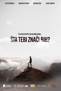 What Does Bosnia Mean to You? (2020) What Does Bosnia Mean to You? (2020)