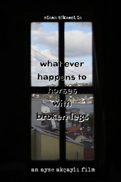 What Ever Happens to Horses with Broken Legs (2022) What Ever Happens to Horses with Broken Legs (2022)