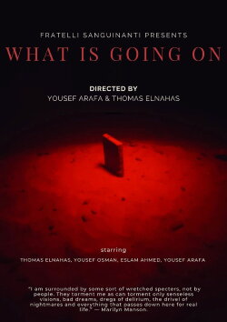 What Is Going On (2022)