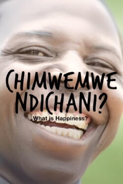 What is Happiness? (2016) What is Happiness? (2016)