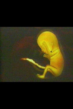 What is Life? (1970) What is Life? (1970)