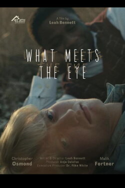 What Meets The Eye (2024) What Meets The Eye (2024)