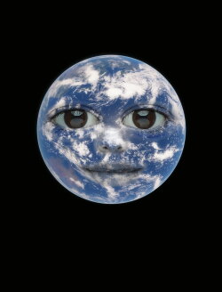 What the Sun Has Seen (2017) What the Sun Has Seen (2017)