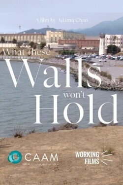 What These Walls Won't Hold (2022) What These Walls Won't Hold (2022)