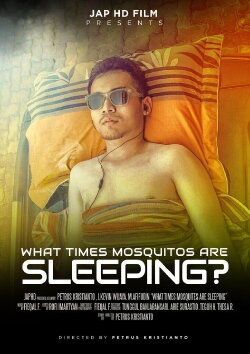What Times Mosquitos Are Sleeping? (2018) What Times Mosquitos Are Sleeping? (2018)