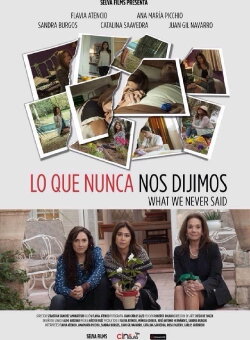 What We Never Said (2015) What We Never Said (2015)
