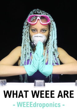 What WEEE Are (2017)