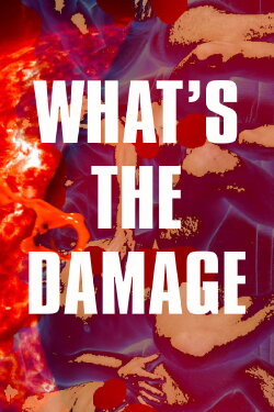 What's The Damage (2017)