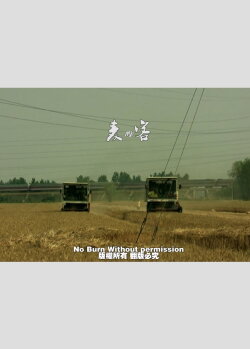Wheat Passenger (2011)