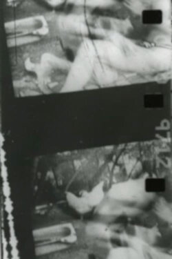 When Bodies Touch (2012)