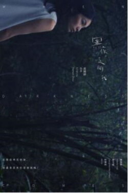 When Darkness Comes (2018)