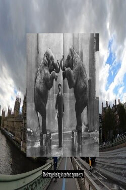 When Elephants Come to Town (2022) When Elephants Come to Town (2022)