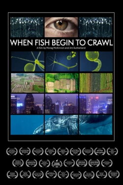 When Fish Begin to Crawl (2023) When Fish Begin to Crawl (2023)