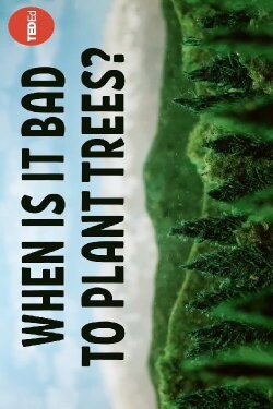 When Is It Bad to Plant Trees? (2024)