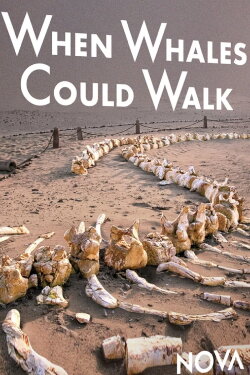 When Whales Could Walk (2024) When Whales Could Walk (2024)
