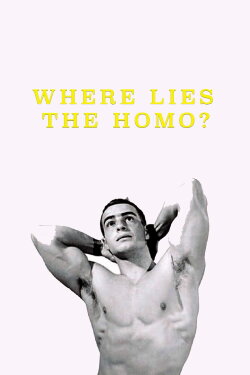 Where Lies the Homo? (1999) Where Lies the Homo? (1999)