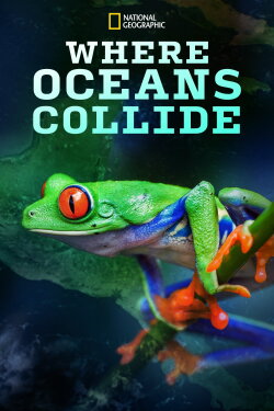Where Oceans Collide (2018)