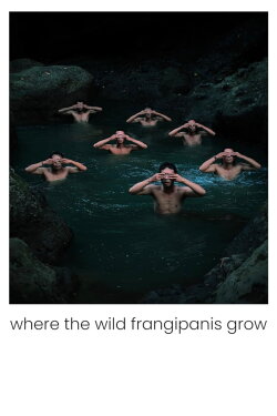 Where the Wild Frangipanis Grow (2023) Where the Wild Frangipanis Grow (2023)