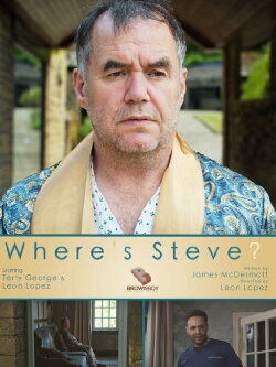 Where's Steve? (2020)
