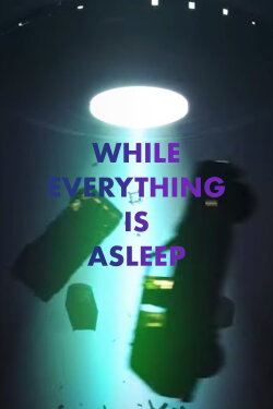 While Everything is Asleep (2020) While Everything is Asleep (2020)
