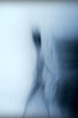 White (2013) White (2013)