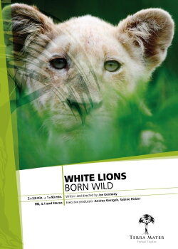 White Lions Born Wild (2012) White Lions Born Wild (2012)